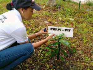 tree_planting3 tree_planting3
