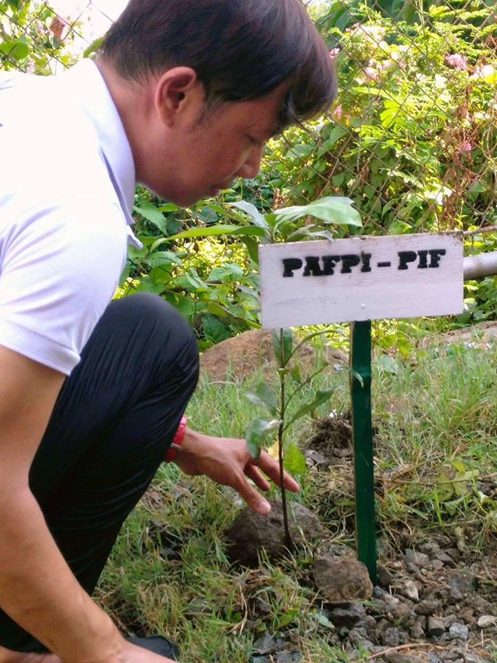 tree_planting5 tree_planting5